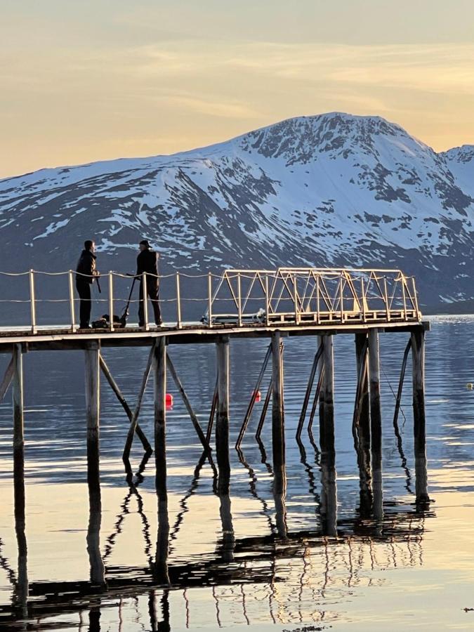 Skittenelv Lodge & Camping Tromsø Zewnętrze zdjęcie