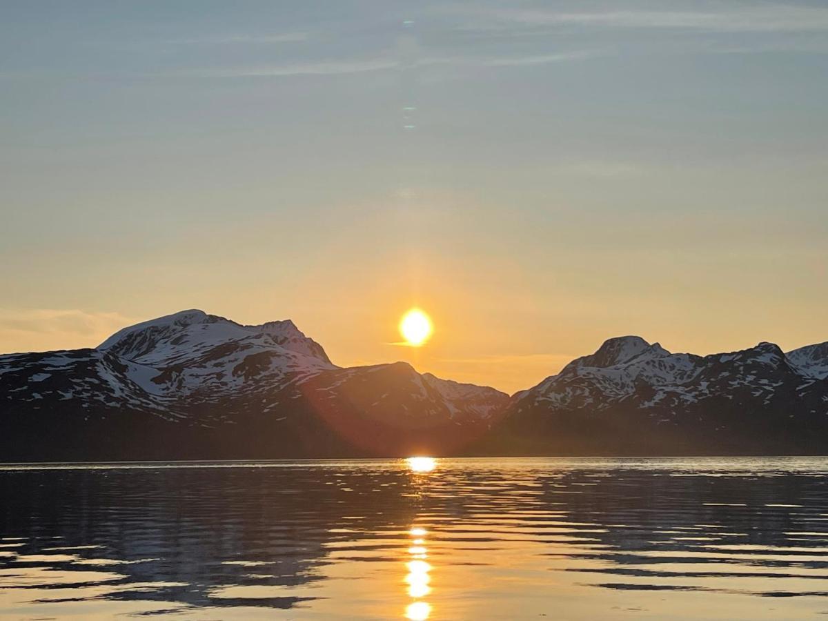 Skittenelv Lodge & Camping Tromsø Zewnętrze zdjęcie