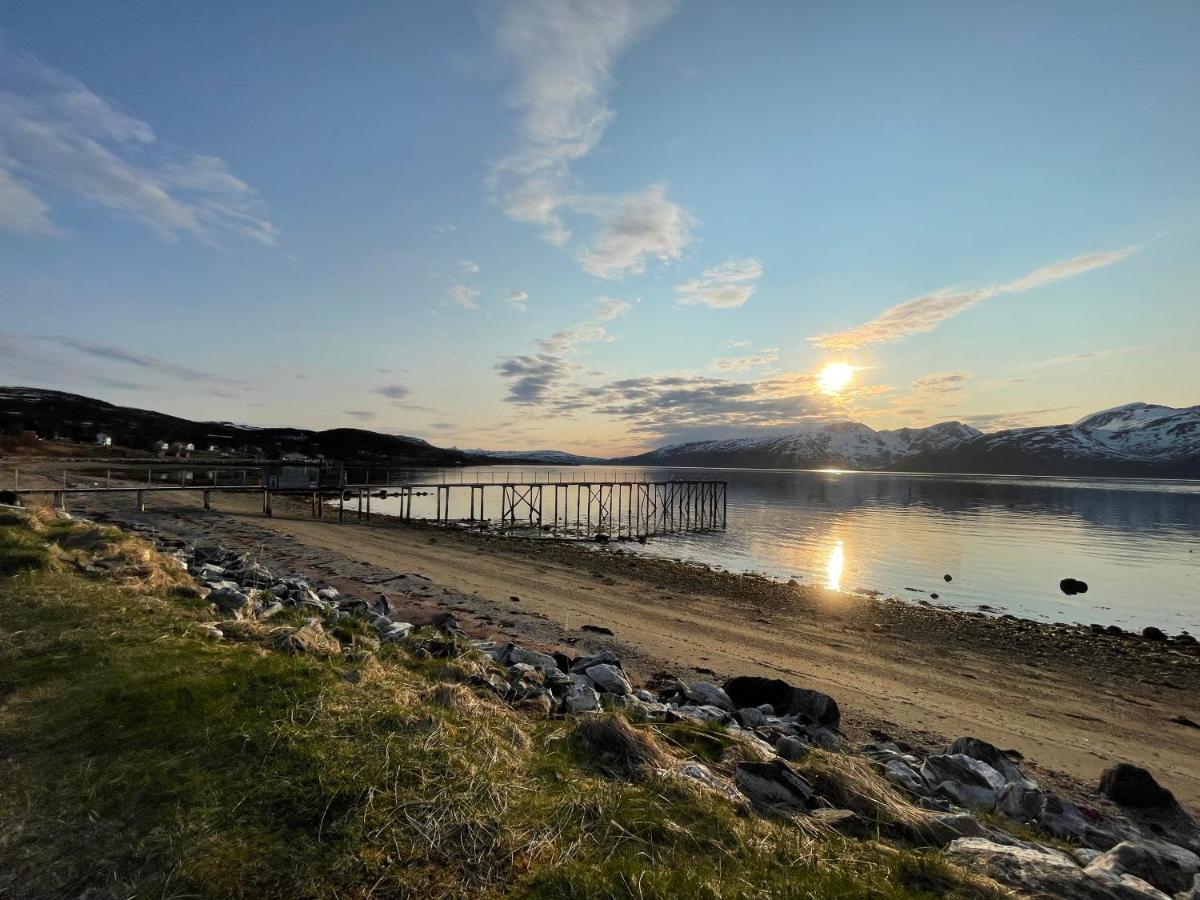 Skittenelv Lodge & Camping Tromsø Zewnętrze zdjęcie
